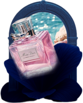 دسته بندی-زنانه
